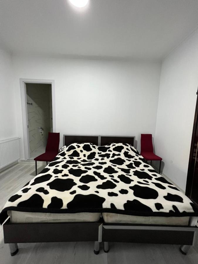 סינגאני Guest House Lali מראה חיצוני תמונה